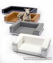 Luxurious Sofa for your Dog (my Simba)