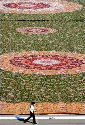 Worldâ€™s largest Carpet