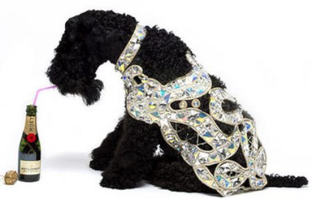 Clad your Dog with $5,084 Vivienne Westwood Diamond Coat