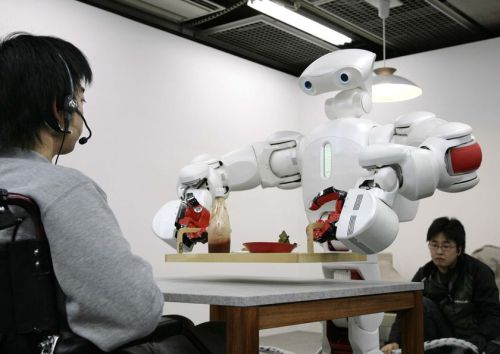 Twendy-One: A Humanoid Robot or Housework Robot? 