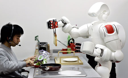 Twendy-One: A Humanoid Robot or Housework Robot?