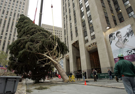 Rockefeller Plaza Installs 84-foot-tall Christmas tree And Bejeweled Star