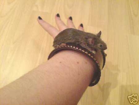 Taxidermy Mouse Bracelet