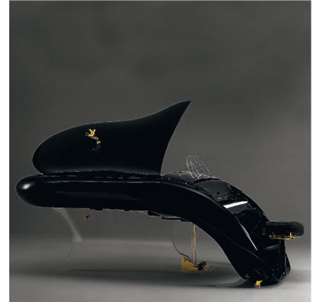 K 208 Pegasus Oval Piano