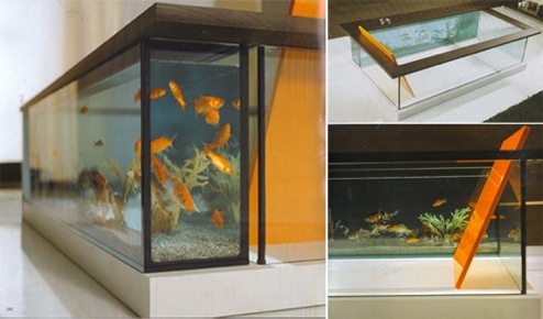 Moody Acquario: Aquarium Bathing With Fishes, Not Sharks!