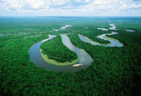 the Amazon