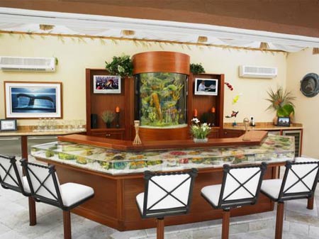 Customized Aquariums