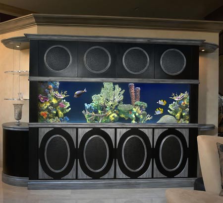 Bar Aquarium