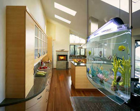 http://elitechoice.org/wp-content/uploads/2008/04/asp-aquarium.jpg