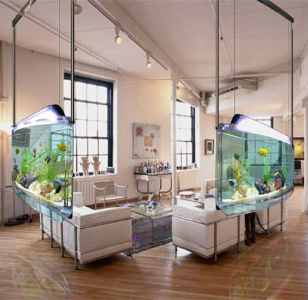 Spacearium: A Contemporary Aquarium