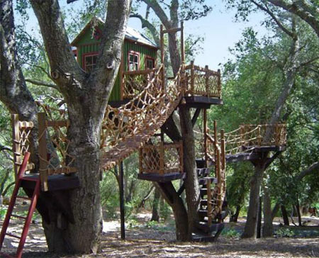 Houses  Sale Owner on Houses Available Here Include Fort Tree House  Extreme Tree House