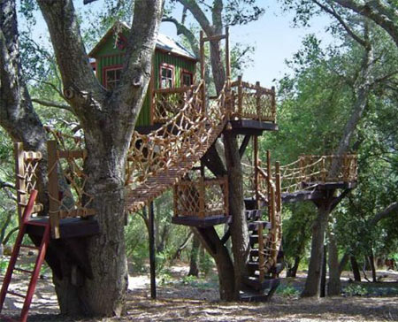 Luxurious Tree Houses