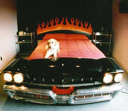 Car With Bed