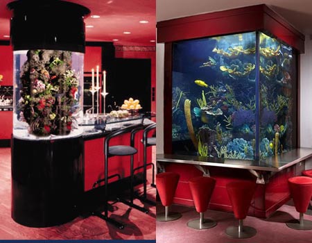 Luxury Living Room on Customized Aquariums Customized Aquariums