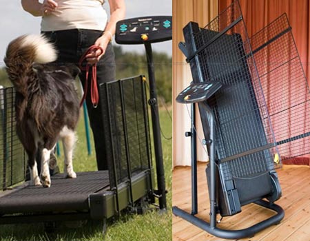 dogs treadmill Fit Fur Life Treadmill For Your Poochie