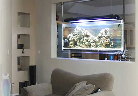 Aquarium Accessories of Living Room Interior Design