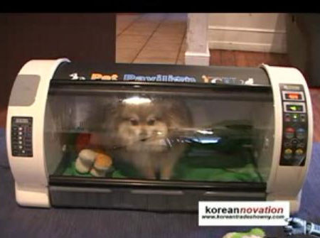 Pet Pavilion: Luxury Pet House Or Doggie Microwave?