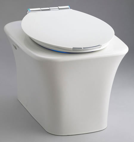 Kohler Hi-Tech Fountain Toilet