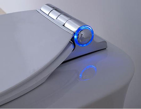 Kohler Hi-Tech Fountain Toilet Neednâ€™t Attend Natureâ€™s Call!