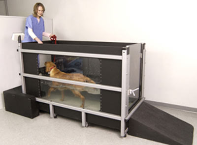 AquaPacer Underwater Treadmill System For Equine Athletes