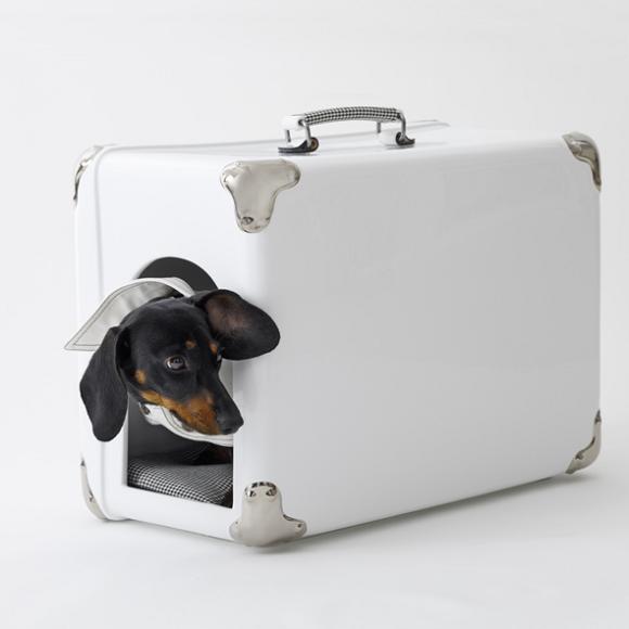 dog-case