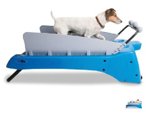 Canine Treadmill 