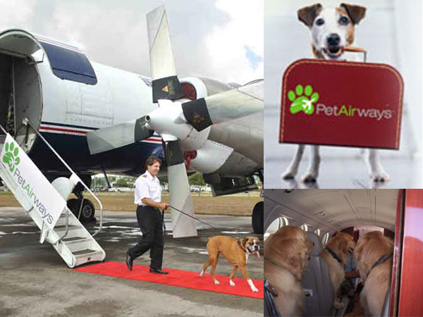 pet_airways