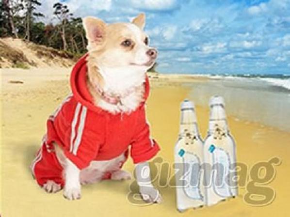 mineral-water-for-dogs