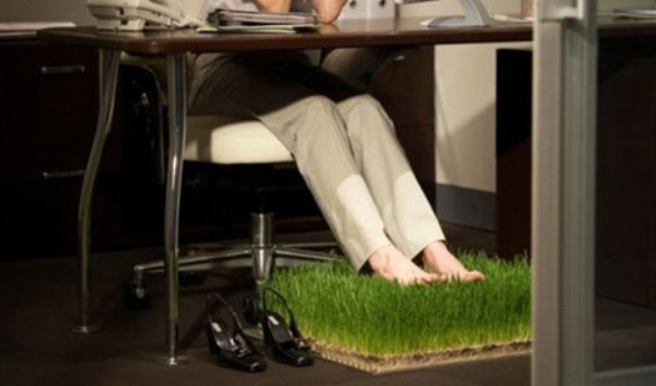 office-grass-patch Breathing Partition Cleans Up The Tension In Office Cubicles