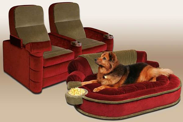 Pet Cinema Lounge