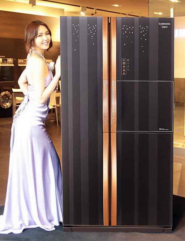 http://elitechoice.org/wp-content/uploads/2010/05/Samsung-Zipel-e-diary-efrigerator-1.jpg