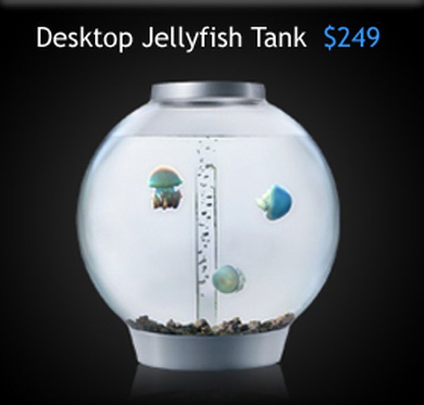 modern jelly fish tank