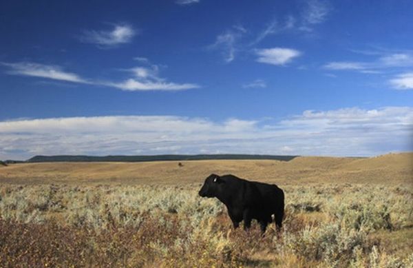 n bar ranch montana 5 One of America’s most famous ranches up for sale