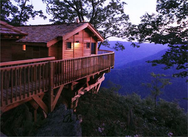 tree the golden eagle tree house offers a completely private and 