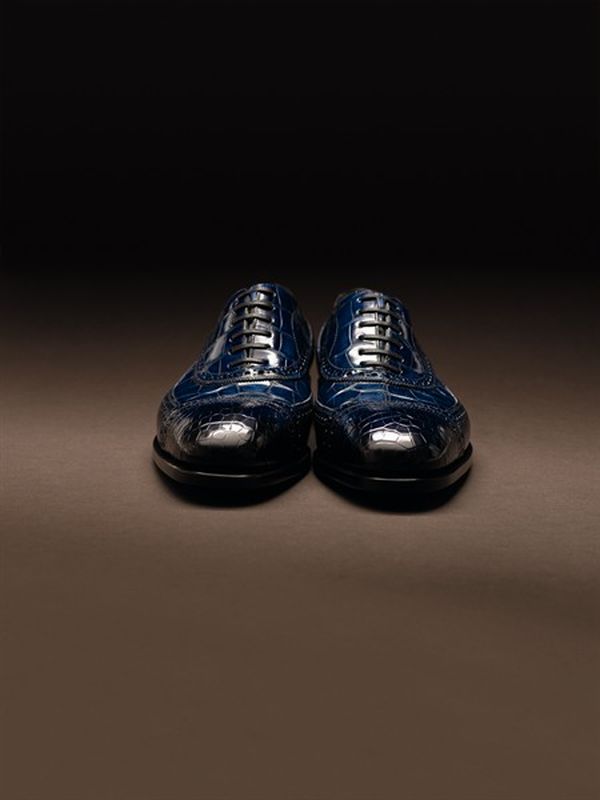 ferragamo special edition shoes