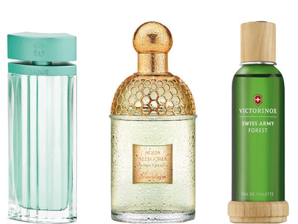 earthy_scents_fragrances_for_this_season
