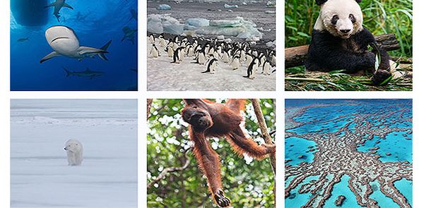 VeryFirstTo's Ultimate Tour to Wildlife Destinations