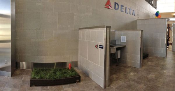 Dog Restroom at Metro Airport, Detroit