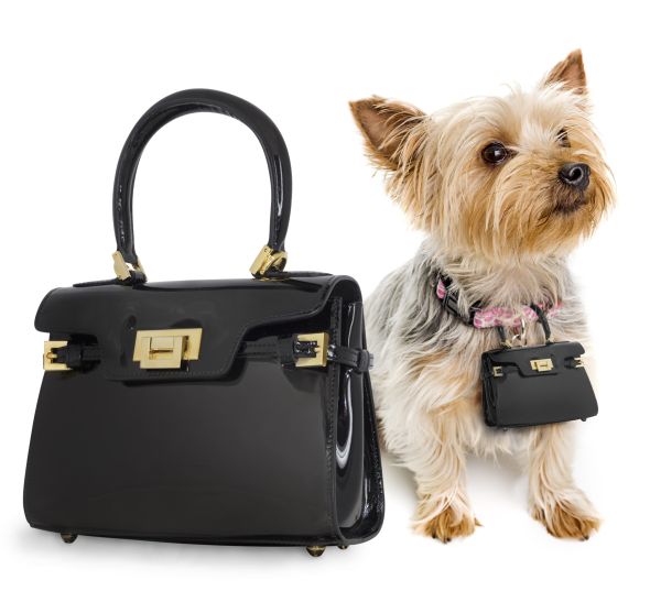 Pawbag is an Exact Replica of the Luxury Handbag