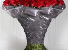 Celebrate Valentines Day with Worlds Most Expensive Roses